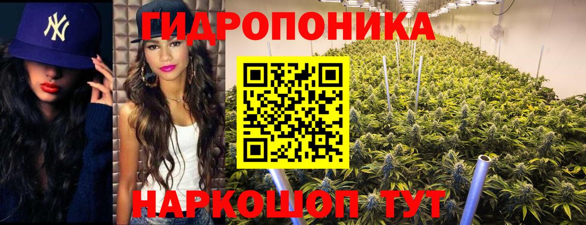 Бошки марихуана марихуана Камень-на-Оби